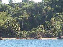 WHERE THE RAINFOREST MEETS THE PACIFIC OCEAN